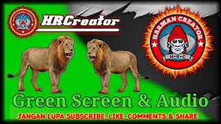 GreenScreen Singa | Efek Suara Singa