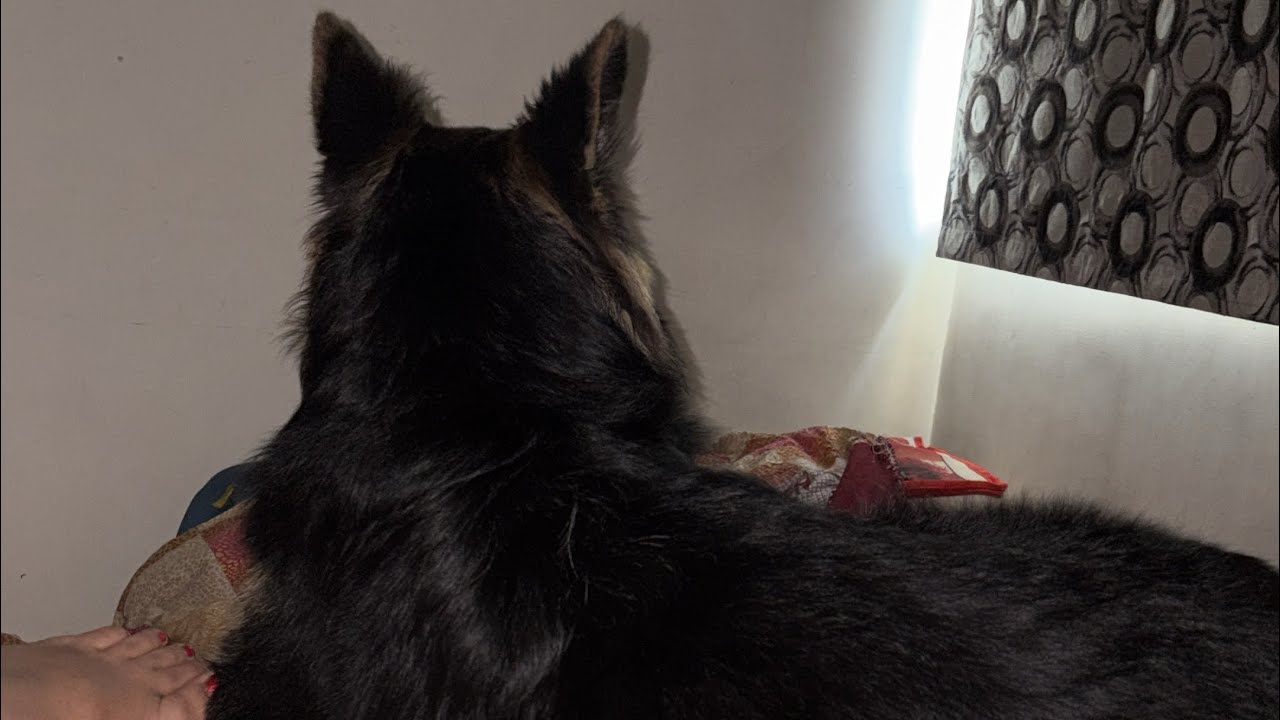 Full Sunday masti time with friends 