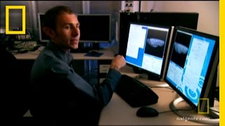 Whose Leg Is This  National Geographic