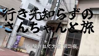行き先知らずのさんちゃんと行く旅 ♯5 騙されて大阪 第二夜