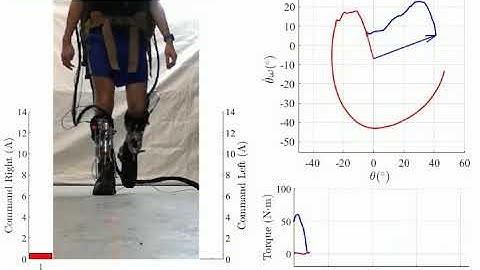 A multifunctional ankle exoskeleton to assist walking, jumping, and landing