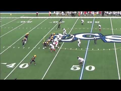 Warner university highlights