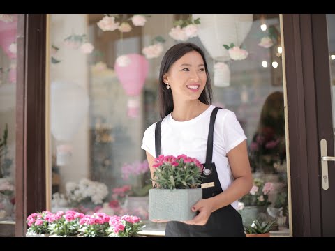 异地爱情故事 - 崔伟立 & 孙艺琪 (唱) Bài Hát Tiếng Hoa - Chinese (Mandarin) song