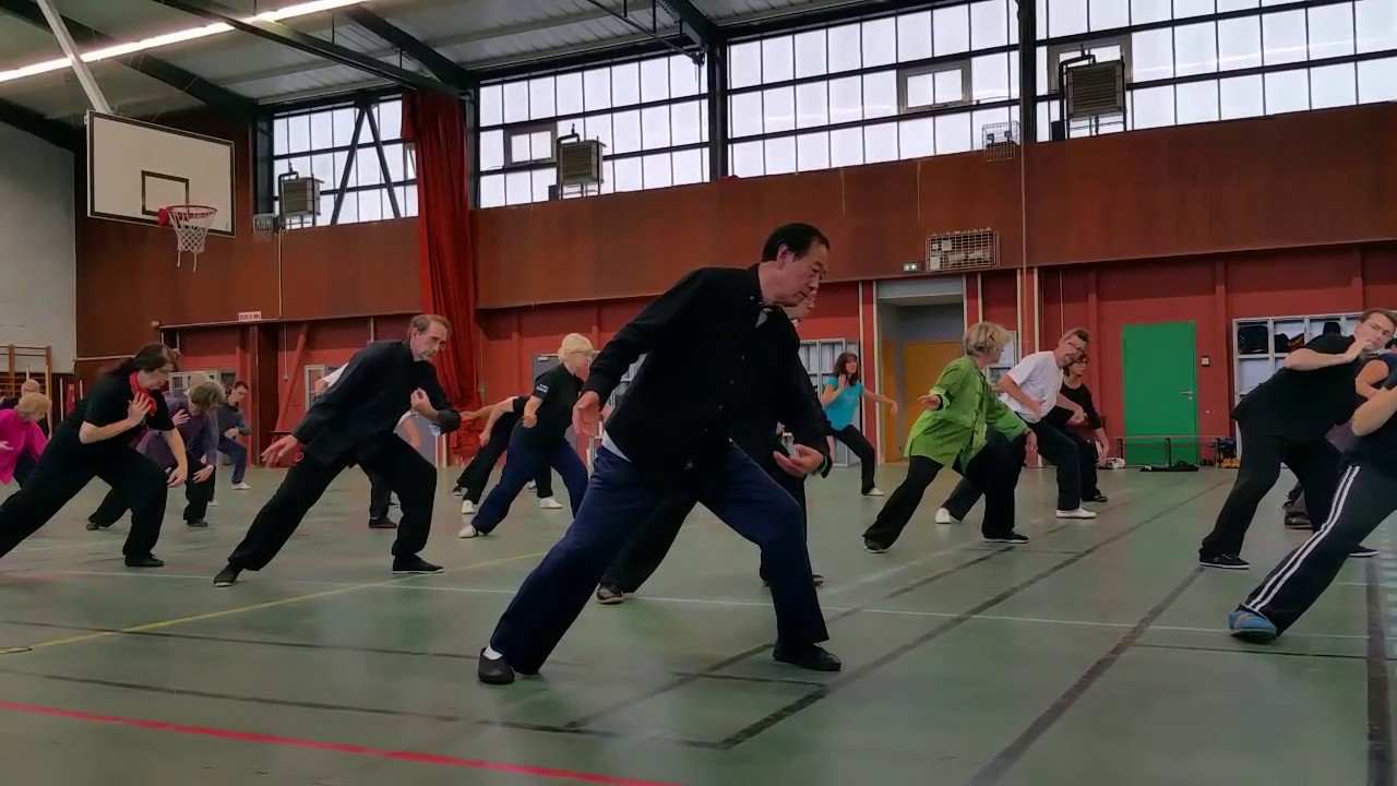 Wang Xian 24 mouvements - Taiji style Chen - SAN BAO Oloron Sainte Marie