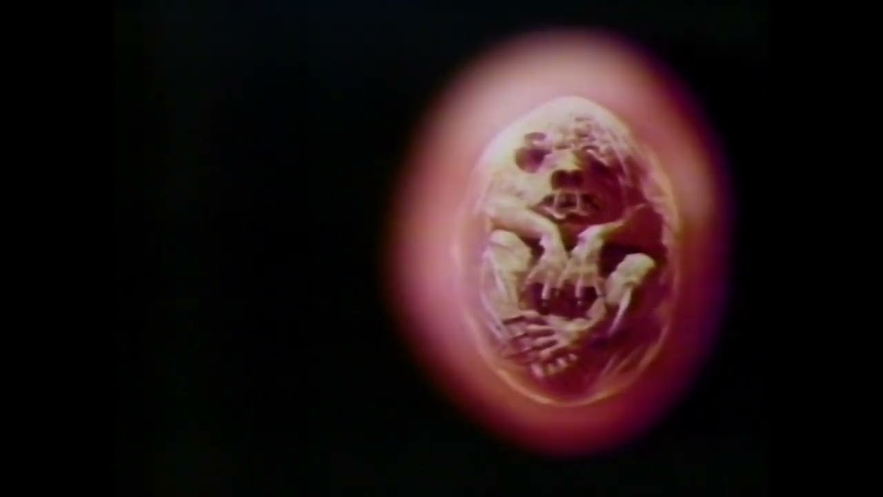 Prophecy TV Spot #1 (1979)