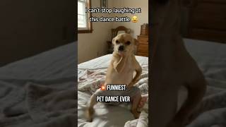 🐶 VS 🐱 Dance Battle!Who wins? Comment below 👇Team Dog or Team Cat? 😂#dog #cat #dance #viral #fyp