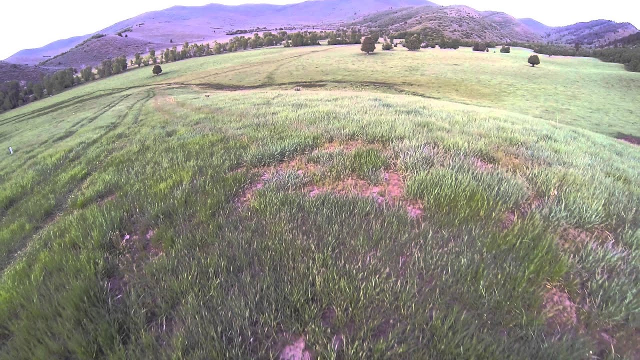 XPro Heli XP2 w/GPS - Altitude Test at Sheepherd