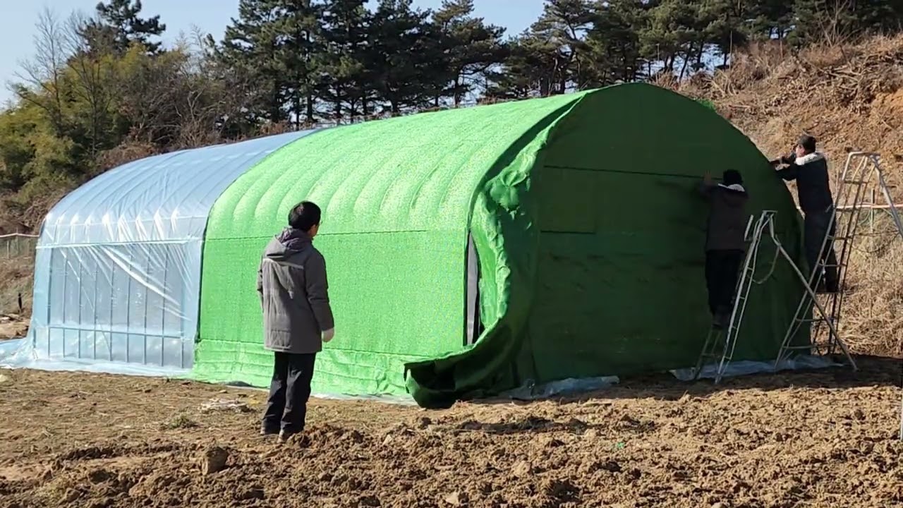 비닐하우스 공사...옛날 시골서 했던거는  장난이었네요..아주 커다랗고 튼튼한 비닐하우스 탄생..반은 잡동사니 보관, 반은 작물재배..