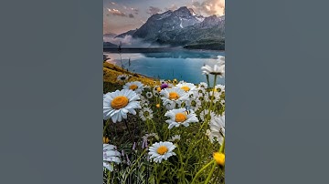 إبداع الشيخ العفاسي سوره البقره(شَهْرُ رَمَضَانَ الَّذِي أُنْزِلَ فِيهِ الْقُرْآنُ)