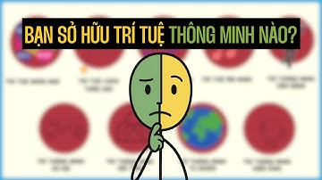 Giải thích mọi loại TRÍ THÔNG MINH - bạn THÔNG MINH ở lĩnh vực nào?