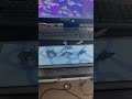 Pokémon Tabletop Animation #blender #animated