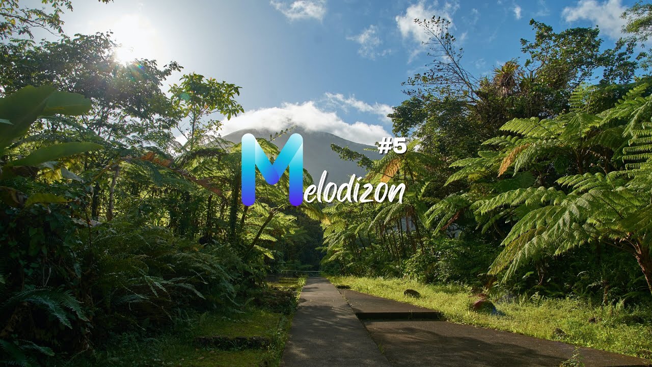 Melodic House Mix 2023 | Sultan + Shepard, Nora En Pure, Romain Garcia, Massane | 05