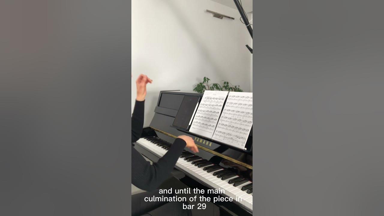 J. S. Bach - Prelude No. 1 in C Major (WTC Book 1). Phrasing