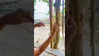 Download Lagu Gemakkelijke manier #bushcraft #kamperen #buitenleven MP3