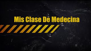 Médula Espinal - Cola De Caballo Y Filum Terminal