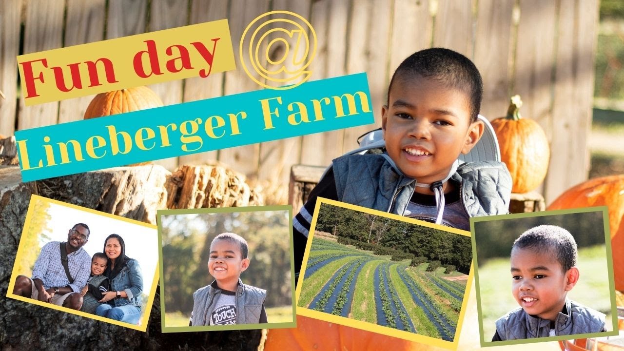 Fun Day at Lineberger Farm, Gaston County, NC YouTube
