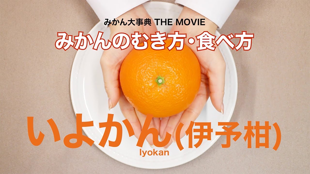 伊予柑 みかん大事典 みかんのことなら のま果樹園 Produced By 株式会社乃万青果 伊予柑 みかん大事典 みかんのことなら のま果樹園 Produced By 株式会社乃万青果