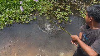 Mancing Di Lahan Bukaan Baru, Awalnya Di Anggap Gak Ada Ikannya Tapi Ternyata Luar Biasa! 