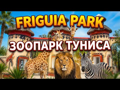 Friguia Park Tunisia Cinematic Zoo Tour 