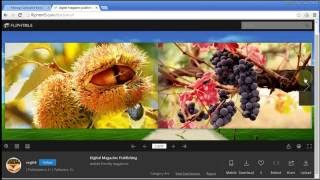 Best Mobile Digital Magazine Publishing Technology You Must Know screenshot 4