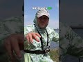 Decoding Fish Behavior in Flat Lakes!