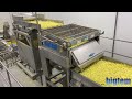 Complete frozen french fries production line