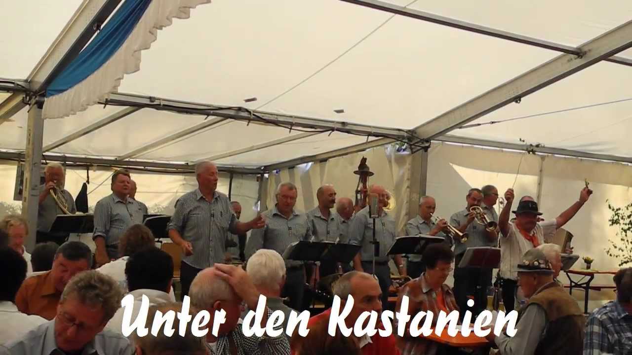 Bergmusikanten Waldfenster - Schondra 2013  (1)