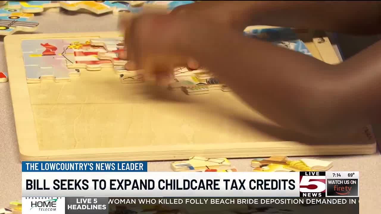 VIDEO: Bipartisan bill seeks to tackle childcare challenges for SC families