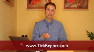 TickReport.com