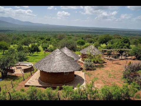 MEET MANGO DEVELOPMENT CEO AND CEO SHANGAISHI FOUNDATION - YouTube