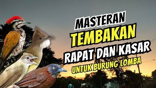 Masteran Tembakan Rapat dan Kasar