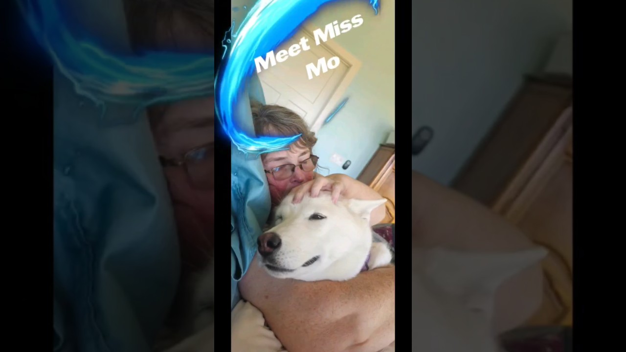A MO-ment with Miss Mo: The Unfiltered Husky Truth
