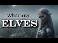 What are elves