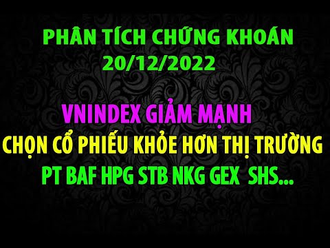 Video CHỨNG KHOÁN 20/12 KỊCH BẢN VNINDEX, PT BANK CHỨNG THÉP... - youtube