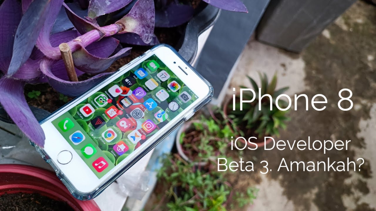 Review iPhone 8 menggunakan iOS 16 Developer Beta 3. Banyak Bug?
