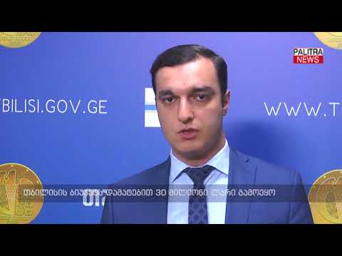 თბილისის ბიუჯეტს დამატებით 30 მილიონი ლარი გამოეყო