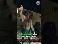 Tense Standoff with Army Vet Caught on Bodycam #shorts