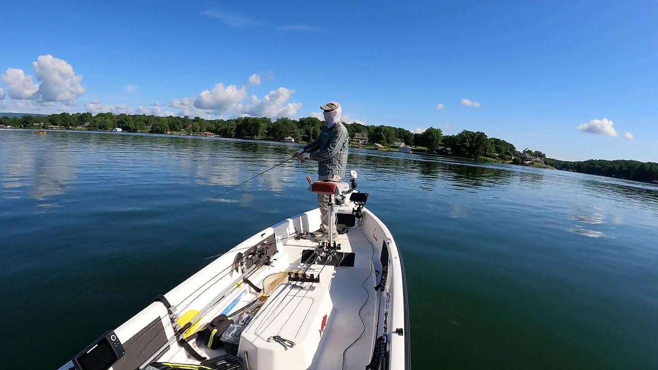 Live! Lake Chickamauga bass fishing in the grass