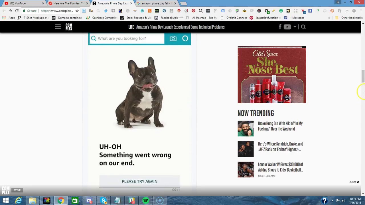Amazon Prime Day Fail Dogs For Days YouTube