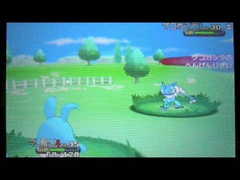 ポケットモンスターx Y 106 フレンドサファリ 変幻自在ゲコガジラ Youtube