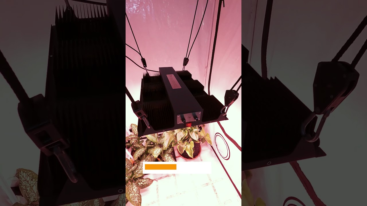 Skeleton 3.0 600m |  | 