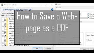 How to Save a Webpage as a PDF​