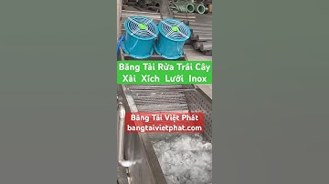 Băng tải xích lưới inox 304 trong máy rửa và thổi khô trái cây tự động #băng #tải