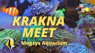 KRAKNA day out, starfish killer and new Corals 😍😍