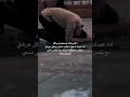يالله ياحي ياقيوم برحمتك استغيث أصلح لي شاني كله ولاتكلني إلى نفسي طرفة عين  mp3