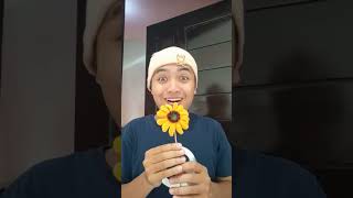 I want to hug a sunflower🌻!!!