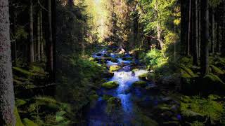 Sagoskogen screenshot 5