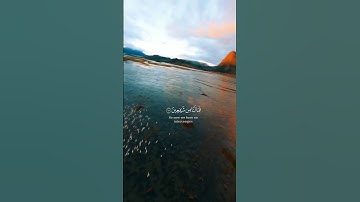 قالوا وهم فيها يختصمون _ تلاوة خاشعة بصوت الشيخ د. ياسر الدوسري
