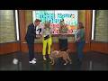 Ruff Start Rescue: Local Love Campaign