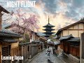 Streets of Tokyo by Night Flight Copyright 2021